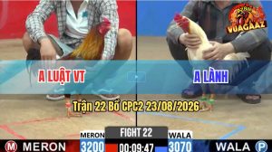 Trận 22 CPC2 23/08/2026 – Gà Úa Mẻ Hiệu Anh Lành Đá Chân Nào Cũng Đâm