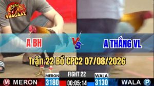 Trận 22 CPC2 Ngày 7/8/2026 Vua Gà AZ