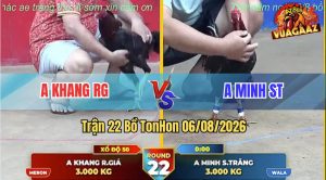 Trận 22 TonHon 06/08/2026 – Anh Minh Có Pha Lội Ngược Dòng Ngoạn Mục