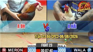 Trận 23 CPC2 08/08/2026 – Anh Hải Đá Không Cho Anh BH Cơ Hội Nào