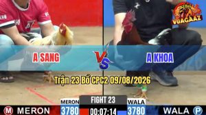 Trận 23 CPC2 09/08/2026 – Gà Bướm Anh Sang Đâm Cựa Quá Dính