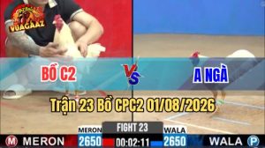 Trận 23 CPC2 Ngày 1/8/2026 Tại Vua Gà AZ