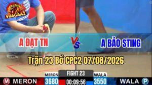 Trận 23 CPC2 Ngày 7/8/2026 Vua Gà AZ