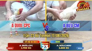 Trận 23 Tonhon 17/08/2026 – Anh Duol Tung Hàng Hiệu Vào Đá Như Đạn