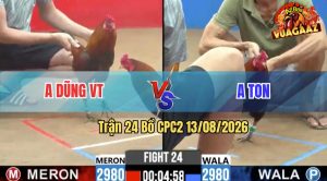 Trận 24 CPC2 13/08/2026 – Anh Ton Hạ Anh Dũng Trong Vòng 2 Nốt Nhạc