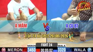 Trận 24 CPC2 20/08/2026 – Anh Cu BT Bạc Dưới Mà Đá Như Súng Bắn