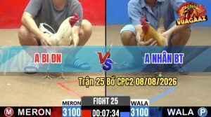 Trận 25 CPC2 08/08/2026 – Gà Khét Anh Nhân Đá Khôn Như Người Ta