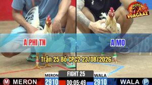 Trận 25 CPC2 23/08/2026 – Anh Phi Hạ Anh Mo Trong Vòng 3 Nốt Nhạc