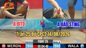 Trận 25 CPC2 Ngày 14/8/2026 Trên Vua Gà AZ