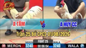 Trận 25 CPC2 Ngày 1/8/2026 Tại Vua Gà AZ