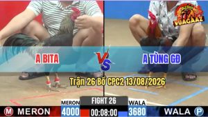 Trận 26 CPC2 13/08/2026 – Anh Bita Làm Thịt Anh Tùng GĐ Nhanh Chóng
