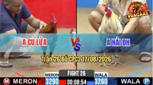 Trận 26 CPC2 17/08/2026 – Đỏ Đá Đâm Như Giang Hồ Hạ Xanh Tuyệt Đối