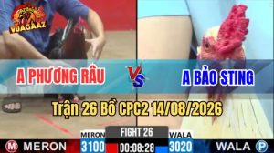 Trận 26 CPC2 Ngày 14/8/2026 Trên Vua Gà AZ