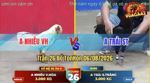 Trận 26 TonHon 06/08/2026 – Anh Nhiễu Không Cho Anh Trải Cơ Hội Nào