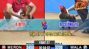 Trận 27 CPC2 06/08/2026 – Gà Anh Cường TG Đá Toàn Canh Đá Đầu Cần