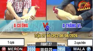 Trận 27 CPC2 08/08/2026 – Anh Cường Đối Đầu Với Anh Thắng Vinh Long