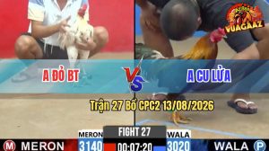 Trận 27 CPC2 13/08/2026 – Gà Bướm Đá Siết Gà Điều Không Chịu Nổi