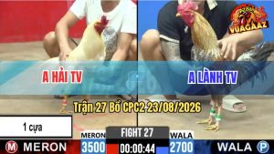 Trận 27 CPC2 23/08/2026 – Anh Hải Chấp 1 Cựa Mà Đá Như 2 Cây Cựa