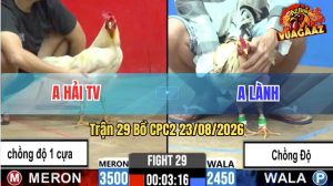 Trận 29 CPC2 23/08/2026 – Anh Hải Vũng Tàu Đụng Độ Với Anh Lành