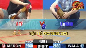 Trận 3 CPC2 08/08/2026 – Anh Tý Làm Thịt Anh Thanh Nhanh Gọn