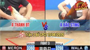 Trận 3 CPC2 11/08/2026 – Idol Bảo Sting Ra Quân Quá Thuận Lợi