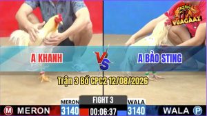 Trận 3 CPC2 12/08/2026 – Anh Khanh Tung Liên Hoàn Cược Hạ Bảo Sting