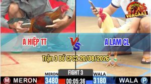 Trận 3 CPC2 20/08/2026 – Gà Điều Anh Hiệp Đá Toàn Canh Đâm Đầu Cần
