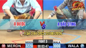 Trận 3 CPC2 22/08/2026 – Gà Chuối Anh Bảo Sting Bươi Chà Như Cái Máy