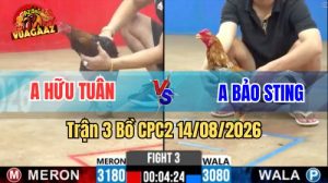 Trận 3 CPC2 Ngày 14/8/2026 Trên Vua Gà AZ