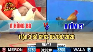 Trận 3 CPC2 Ngày 5/8/2026 Vua Gà AZ
