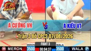 Trận 3 CPC2 Ngày 7/8/2026 Vua Gà AZ