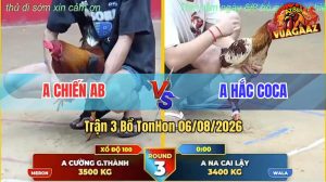 Trận 3 TonHon 06/08/2026 – Camelo Của Anh Hắc Coca Đá Đúng 1 Tay Nước
