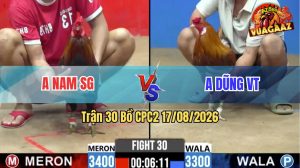 Trận 30 CPC2 17/08/2026 – Gà Khét Anh Dũng Đá Cựa Đâm Như Giang Hồ