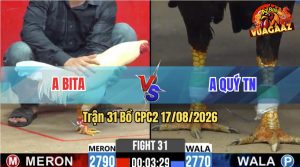 Trận 31 CPC2 17/08/2026 – Trận Đấu Kịch Tích Giữa Anh Bita Và Anh Quý