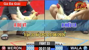 Trận 33 CPC2 22/08/2026 – Anh Dự Hạ Anh Hiếu LA Quá Dễ Dàng