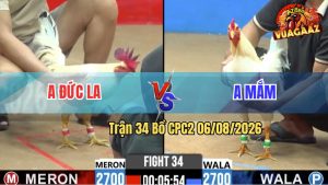 Trận 34 CPC2 06/08/2026 – Anh Mắm Trên Cơ Đá LA Đức Hư Hình