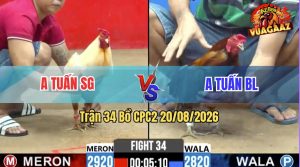 Trận 34 CPC2 20/08/2026 – Anh Tuấn Hạ Đối Thủ Trong Vòng Vài Nốt Nhạc