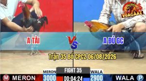 Trận 35 CPC2 06/08/2026 – Anh Đủ GC Thành Công Đánh Bại Anh Tài