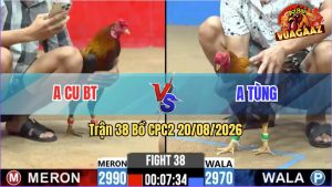 Trận 38 CPC2 20/08/2026 – Anh Cu Tiễn Anh Tùng Lên Đường Về Nước