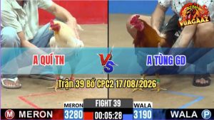 Trận 39 CPC2 17/08/2026 – Anh Tùng GD Đá Chậm Như Mà Chắc