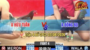Trận 4 CPC2 02/08/2026 – Anh Hữu Tuân Hạ Anh Đông Trong 1 Tay Nước