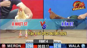 Trận 4 CPC2 06/08/2026 – Trận Đấu Cân Não Giữa Anh Nhựt Và Anh Ân