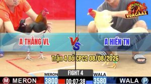 Trận 4 CPC2 08/08/2026 – Gà Điều Chân Trắng Anh Thắng Đá Quá Đâm