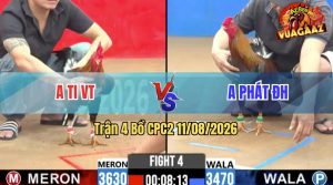 Trận 4 CPC2 11/08/2026 – Gà Xám Anh Phát ĐH Đá Đòn Như Cây Đập