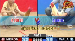Trận 4 CPC2 17/08/2026 – Anh Bin Đá Anh Ton Không Kịp Trở Mình