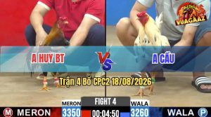 Trận 4 CPC2 18/08/2026 – Gà Bướm Anh Cẩu Đá Đòn Nhanh Như Điện