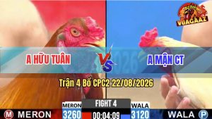 Trận 4 CPC2 22/08/2026 – Gà Điều Anh Hữu Tuân Có Pha Lội Ngược Dòng