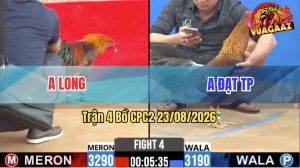 Trận 4 CPC2 23/08/2026 – Anh Đạt TP Có Pha Lật Kèo Ngoạn Mục