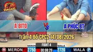Trận 4 CPC2 Ngày 14/8/2026 Trên Vua Gà AZ