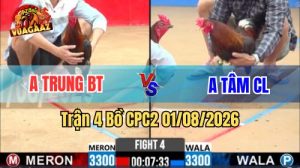 Trận 4 CPC2 Ngày 1/8/2026 Tại Vua Gà AZ